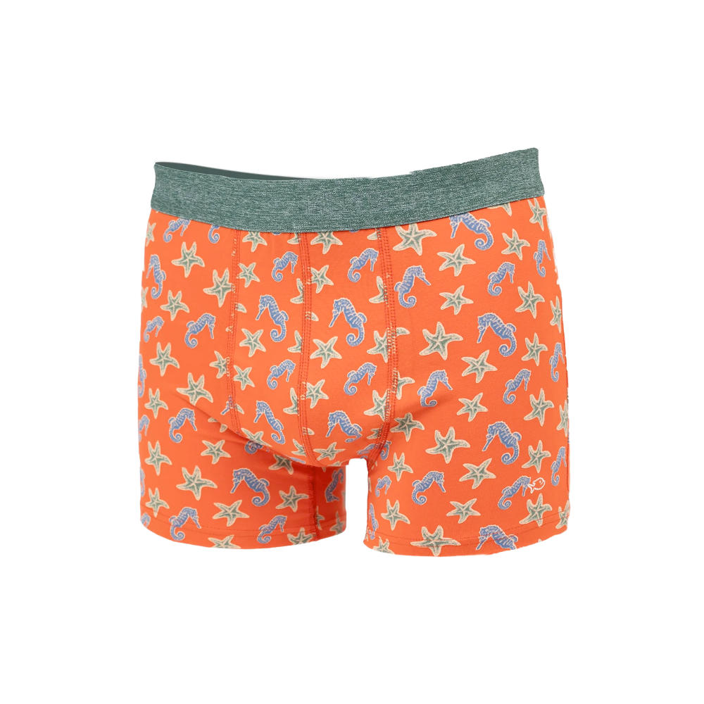 Billybelt - Boxer - Seahorse - XL